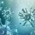 Rendering of coronavirus cells
